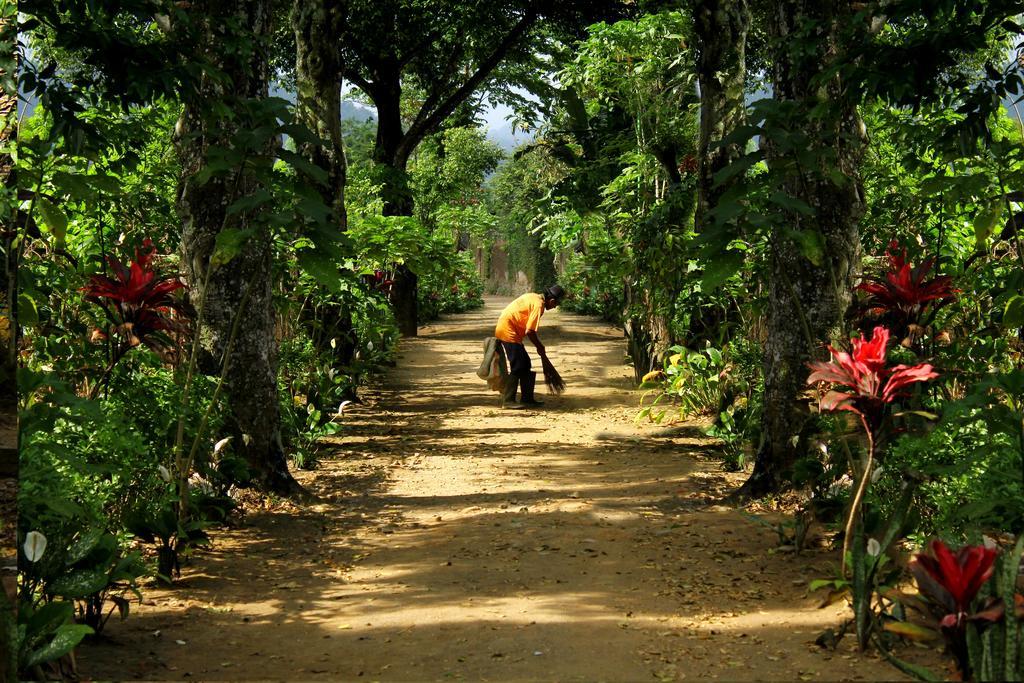 Margo Utomo Eco Resort Kalibaru Buitenkant foto