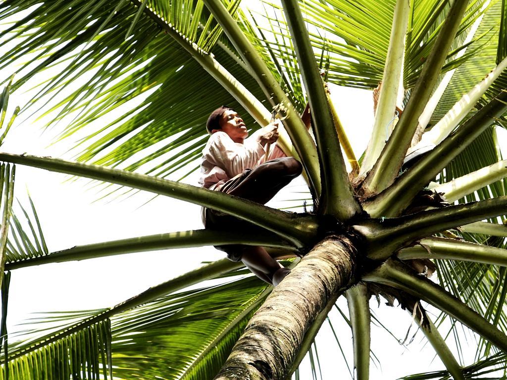 Margo Utomo Eco Resort Kalibaru Buitenkant foto