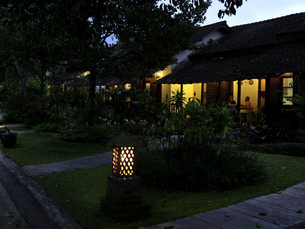 Margo Utomo Eco Resort Kalibaru Buitenkant foto